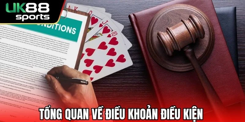 Bảo vệ quyền lợi nhờ các điều khoản điều kiện